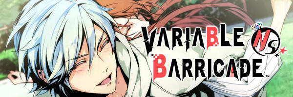 VARIABLE BARRICADE